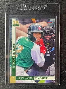 2024 Choice Fort Wayne Tincaps Team Set (Padres) You Pick Free Shipping!!! - Picture 1 of 36