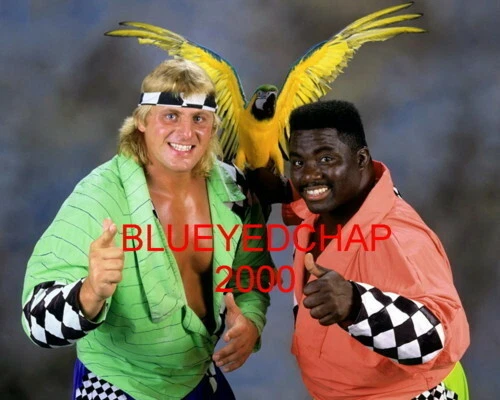 FOTO DE LUCHA LIBRE 8 X 10 WWEN HART & KOKO B WARE WRESTLERS WWF ECW Foto 1 de 1