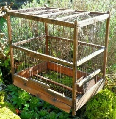 ANCIENNE CAGE à OISEAUX en BOIS et FIL de FER vers 1900, Déco vintage - Photo 1/4