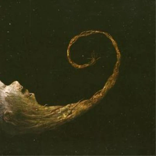 Scald Vermiculatus (CD) Album - Bild 1 von 1