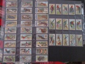 Original Cigarette Tobacco Cards Players Nature Series 1909 Birds Animals 50/50