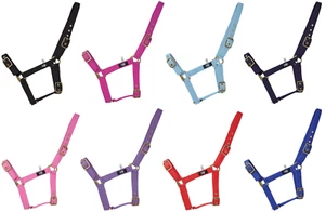 Hy Equestrian Holly Fully Adjustable Head Collar Strong Everyday Headcollar - Picture 1 of 19