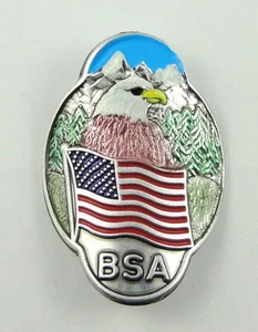 Boy Scouts of America Eagle & Flag Hiking Staff Medallion/Shield - BSA - Picture 1 of 1
