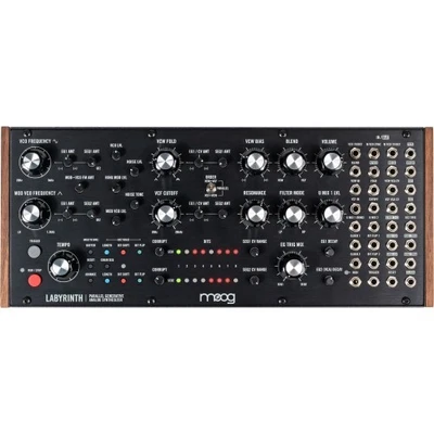 Moog Labyrinth | Neu - Bild 1 von 4