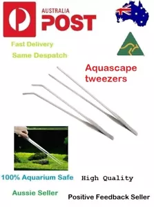 Stainless Steel Aquascape Tweezer Curve Straight Tongs 27cm Planted Tank Tool - Foto 1 di 5