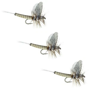 Premium Dry Flies for Trout - Lucent Wing Grey Drake - 3 Pack - Hook Size 12 - Picture 1 of 10
