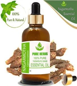 Pure Herbs Nagarmotha 100% Pure & Natural Cyperus scariosus Essential Oil - Picture 1 of 11