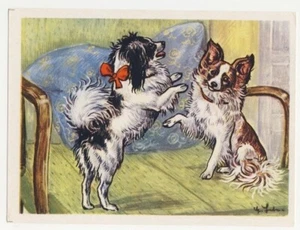 ÉPAGNEUL NAİN CONTİNENTAL PAPİLLON DOG CHIEN HUND PERRO CANE HOND IMAGE CARD - Picture 1 of 2