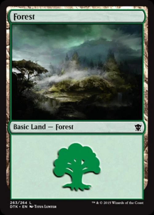 Forest (263) -Foil Light Play MTG Dragons of Tarkir - Image 1 of 1