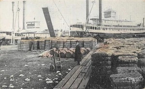 # K511 NEW ORLEANS, LA.    POSTKARTE, BAUMWOLLWALF - Bild 1 von 2