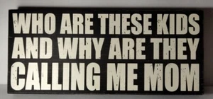 Rustikales Holz-Familienkastenschild 16 x 7" Wer sind diese Kinder und warum sind sie... - Bild 1 von 10