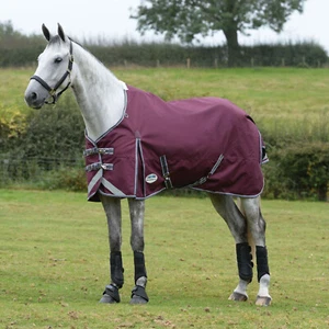 WeatherBeeta ComFiTec Plus Dynamic II Standard Neck Lite Weight 0g Turnout Rug - Picture 1 of 3