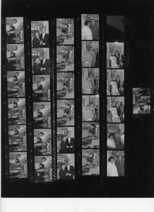 Foglio Foto Contatto Negativo QUESTO È INTRATTENIMENTO 2 FRED ASTAIRE KATHRYN GRAYSON - Foto 1 di 1