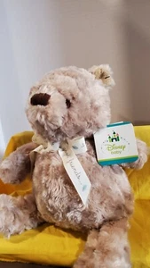 Disney Babies Winnie the Pooh 12" Plush Stuffed Bear Toy Infant Baby Safe ~ NWT - Picture 1 of 2