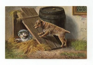 Illustrator Müller. Cat and Dog - Picture 1 of 2