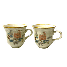Set of 2 Mikasa Country Charm Straflowers Cup FG002 Tennessee Cup Japan Vintage