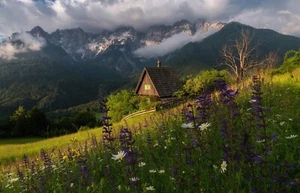 Fotomurale-PAESAGGIO COLLINARE-(6830)-NON TESSUTO-Carta da parati-Apls Mountains XXL - Foto 1 di 1