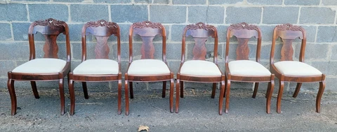Set of 6 Restored c1830 Empire Victorian Carved Mahogany Saber Leg Dining Chairs Cover