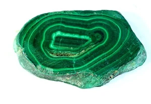 116 CT NATURAL FLOWER PLUME MALACHITE POLISH SLAB TILE UNTREATED GEMSTONE MJ-744 - Picture 1 of 6