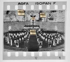 Original Negativ 4x3,5cm - Lübeck Holstein - Wappen Gebiete Danzig Thorn Kulm….. - Bild 1 von 1