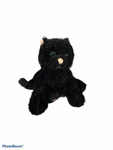 Webkinz Halloween Black Cat Plush Toy 10" - No Code - Picture 1 of 9