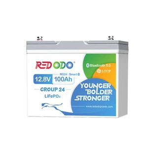 12V 100Ah Group 24 Bluetooth LiFePO4 Lithium Batterie App Echtzeit-Überwachung - Zdjęcie 1 z 8