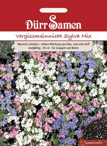 Vergissmeinnicht Sylva Mix gelb mit Auge zweijährig 20 cm Saatgut von Dürr-Samen - Bild 1 von 1