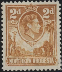 Northern Rhodesia 2d yellow-brown stamp SG 31 mint - Picture 1 of 1