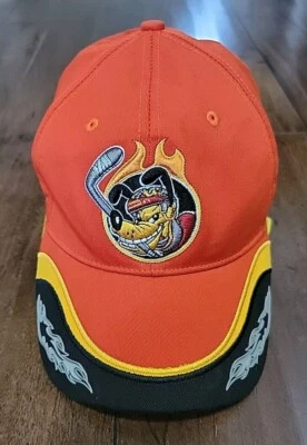 Pluto Ice Hounds K9 Walt Disney World Hat Baseball Cap Stretch Fit Youth Size  Foto 1 de 4
