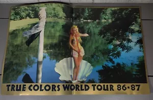 1986-1987 Cyndi Lauper TRUE COLORS WORLD TOUR 86-87 Program Rare - Picture 1 of 5