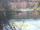 Photo 6x4 Mute Swans on Loch of Aboyne  c2007