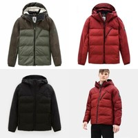 timberland bear head less