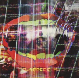 Animal Collective - Centipede Hz BRAIN PORTNER CD NEU OVP - Bild 1 von 1