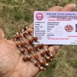 Plata 925 + 5 Cuentas Naturales Mukhi RUDRAKSHA Mala ROSARIO 54+1, CERTIFICADO POR LABORATORIO - Imagen 1 de 8