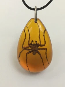 Real Spider Necklace Pendant Strange Gift Insect in Replica Amber - Picture 1 of 7