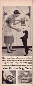 Print Ad Purina Dog Chow Dachschund 1957 Half-Page Magazine 5"'x12" - Picture 1 of 1