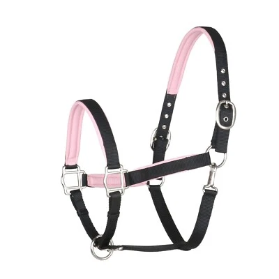 BergReiter Trendy Halfter Rot Pink Hellblau Braun Schwarz Weiß Pony Cob Full XL - Bild 1 von 4