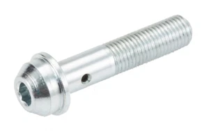 2001-2004.5 GM 6.6L DURAMAX  Engine | FUEL RETURN LINE BANJO BOLT | # AP0059 - Picture 1 of 3