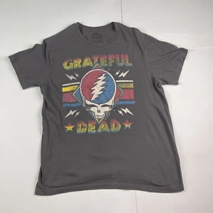 Camiseta Grateful Dead 2013 mediana/grande Jerry Garcia Phil Lesh Bob Weir gris - Imagen 1 de 18