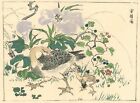 ??Rare?? Kawanabe Kyosai Antique (1St Edition) Woodblock Print Hokusai Seitei