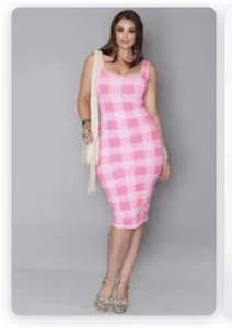 Vestido Mediodi Rue 107 Nee York a cuadros rosa a cuadros talla 3X nuevo con etiquetas - Imagen 1 de 6