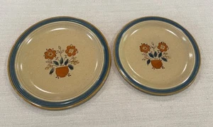 "Platos de gres International Round-Up Frontier Japón SY-7940 12"" + 10,5""" - Imagen 1 de 9