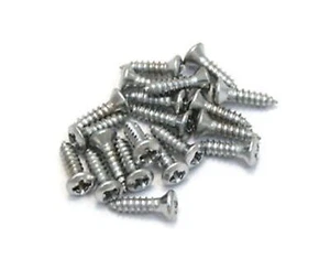 Paquete de 20 tornillos golpeadores de acero inoxidable Allparts - Imagen 1 de 2