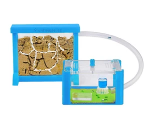 Natürliche 3D Ameisenfarm aus Sand | Basic Set (Sandwich + Futterbox) | Inklusiv - Bild 1 von 9
