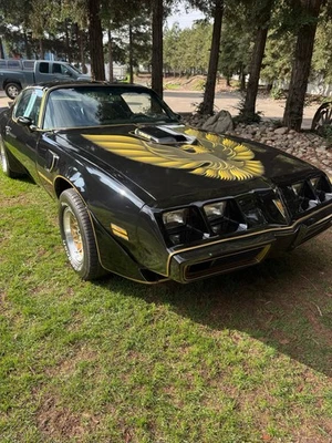 1979 Pontiac Firebird special edition - Изображение 1 из 4