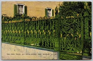 Postcard Louisiana New Orleans Royal Street Corn Fence - Bild 1 von 2