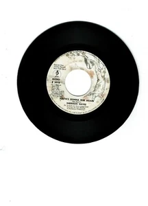 Sherman Hayes Southern Rock 45 (Barnaby 5012) South Gonna Rise Again PROMO NM - Picture 1 of 2
