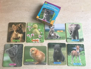 PREMIERES CARTES D'IMAGES "ADORABLES ANIMAUX" - Photo 1/4