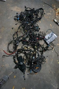 OEM BMW E46 Coupe Main Chassis Body Wiring Harness Loom DSC 03-05 325ci 330ci - Picture 1 of 9