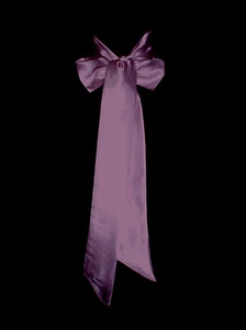 PÚRPURA CIRUELA Satén Boda Vestido Elegante Fiesta Cinta Faja Corbata Cinturón Dama de honor Lazo - Imagen 1 de 11